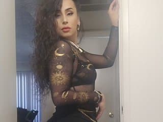 StefBunny